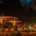 2 Days Tarangire and Ngorongoro Mid Luxury Safari & Flights - What Makes This Tour Stand Out?