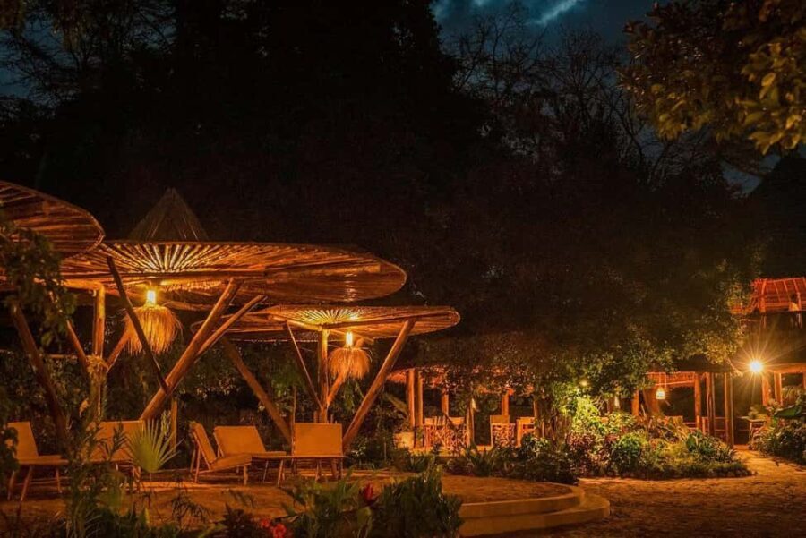 2 Days Tarangire and Ngorongoro Mid Luxury Safari & Flights - What Makes This Tour Stand Out?