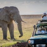2 Days to Amboseli National Park with Masai Village Tour - What to Expect on the Tour