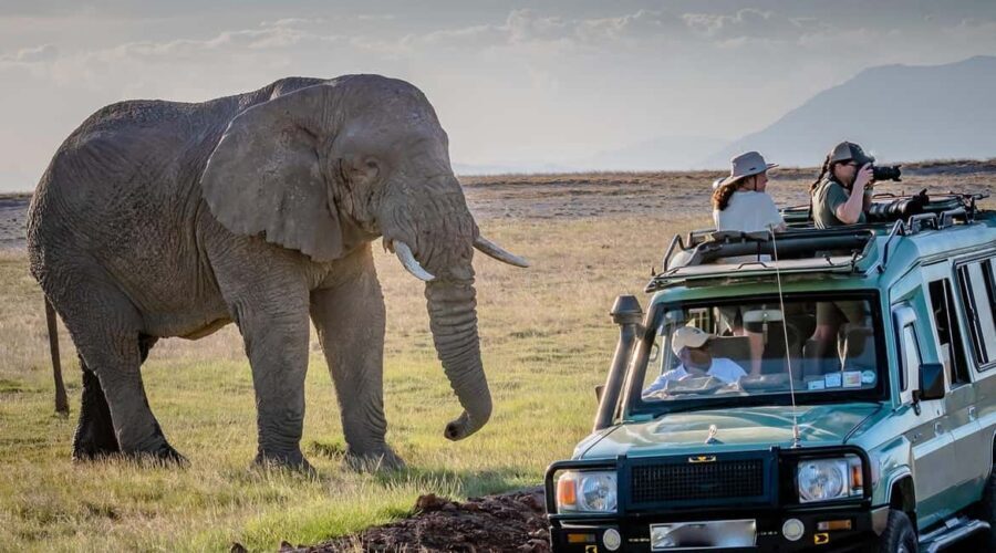 2 Days to Amboseli National Park with Masai Village Tour - What to Expect on the Tour