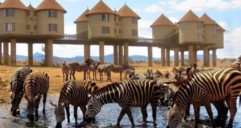 2 DAYS TO TAITA HILLS GAMES SANCTUARY - Setting the Scene: What’s Special About Taita Hills