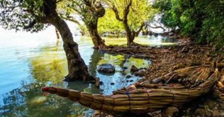 2 days visiting Lake Tana & Blue Nile Waterfall - Day 2: The Power and Beauty of Blue Nile Falls
