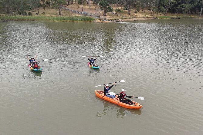 2-Hour Kayaking Experience in Barossa Valley - What Can You Expect During the Tour?