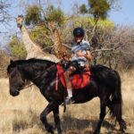 2 hour Sunrise Horseback Safari - What Makes It Stand Out?