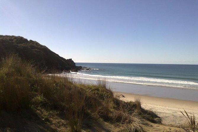 2 Hour Surf Lesson - Te Arai Beach - Who Should Book This Tour