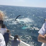2 hour whale watching experience departing Hillarys Boat Harbour - Practical Details