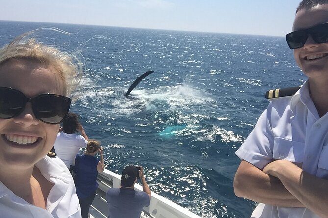 2 hour whale watching experience departing Hillarys Boat Harbour - Practical Details