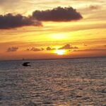 2 Hours Sunset Experience on Noosa River - Authentic Insights from Reviews