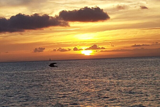 2 Hours Sunset Experience on Noosa River - Authentic Insights from Reviews