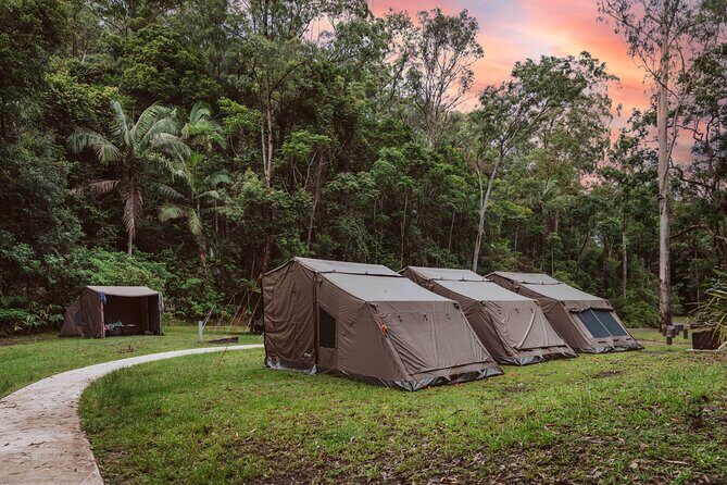 2 Night Rainforest Glamping Adventure near Byron Bay - Value and Practical Insights