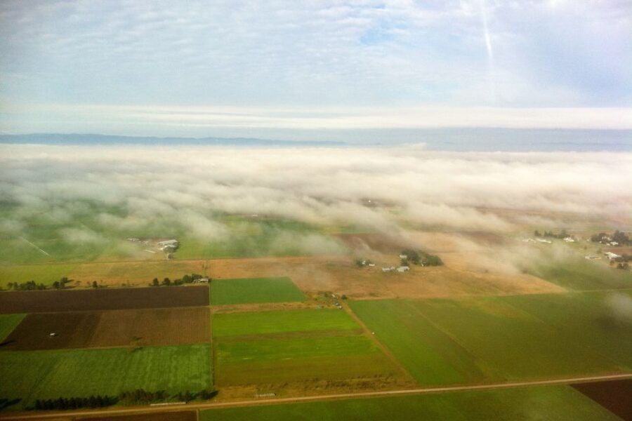 20 Minute Helicopter Scenic Flight Hunter Valley - The Flight Itself: Highlights and Views