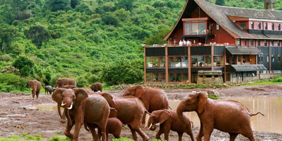 2Days Aberdares National Park Safari Package - Exploring the Itinerary: Day 1 — Nairobi to Aberdares