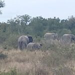 2days kruger National Park - What’s Included and What’s Not