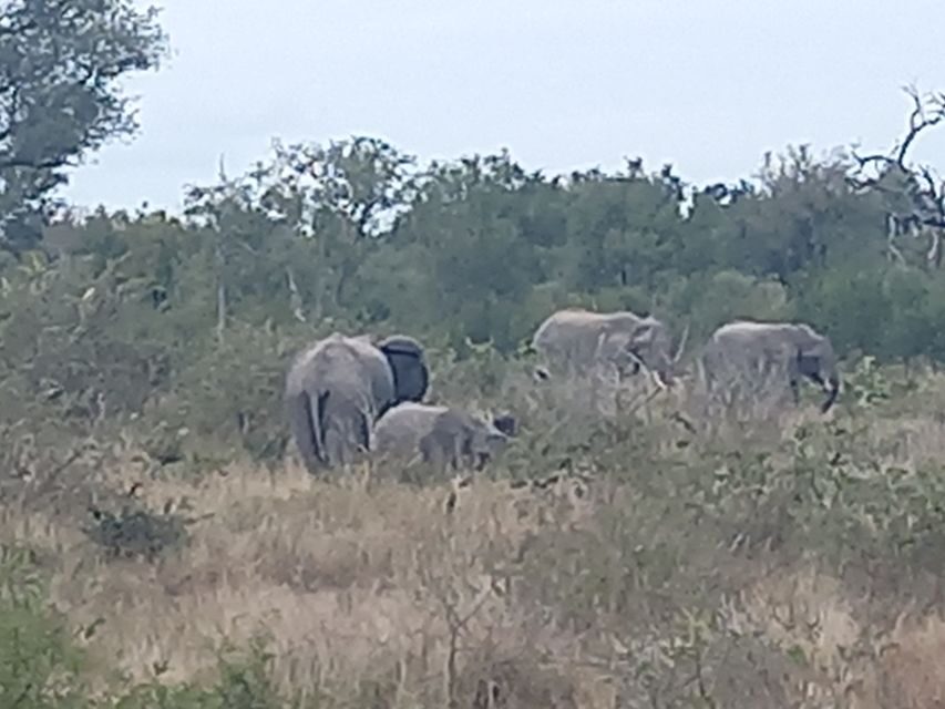 2days kruger National Park - What’s Included and What’s Not