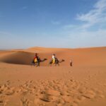 2Days Luxury Desert Tour From Errachidia To Fes Via Merzouga - What Makes This Tour Stand Out