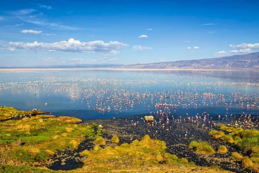 2Days Magical Lake Natron Safari - FAQs