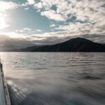 3.5 Hour Marlborough Sounds Delivery Cruise - The Itinerary: What You’ll Actually Experience