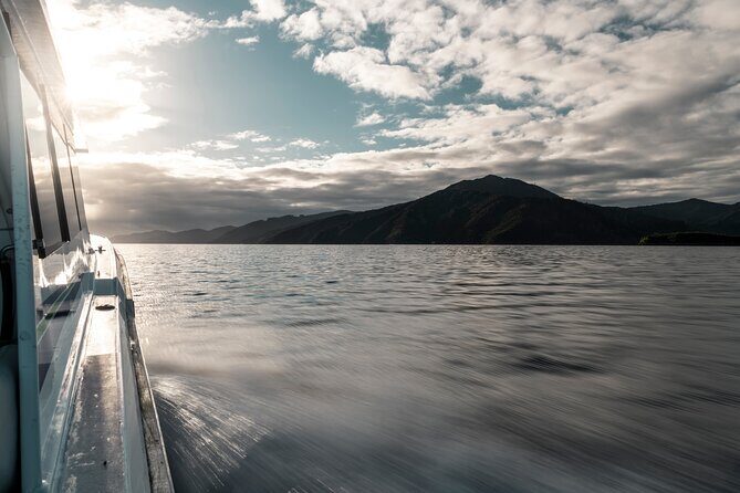 3.5 Hour Marlborough Sounds Delivery Cruise - The Itinerary: What You’ll Actually Experience