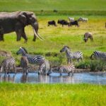 3-Day Amazing Serengeti and Ngorongoro Safari - What’s Included & What’s Not