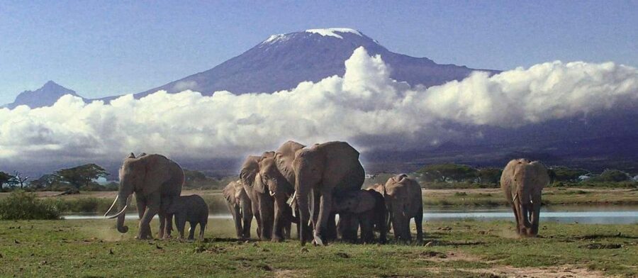 3-Day Amboseli National Park Camping Safari on 4x4 Jeep - What’s Included and What to Consider