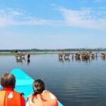 3-Day Bird Watching Lake Nakuru, Lake Bogoria& Lake Naivasha - Exploring Day 1: Nairobi to Lake Nakuru National Park