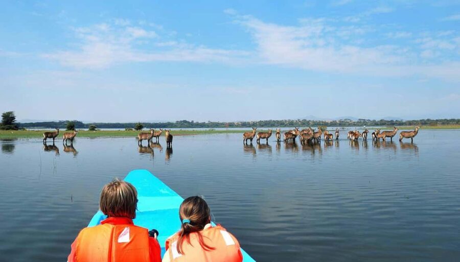 3-Day Bird Watching Lake Nakuru, Lake Bogoria& Lake Naivasha - Exploring Day 1: Nairobi to Lake Nakuru National Park