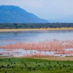 3-Day Crater Tour, Lake Manyara, & Tarangire National Park - Day 1: From Arusha to Tarangire National Park