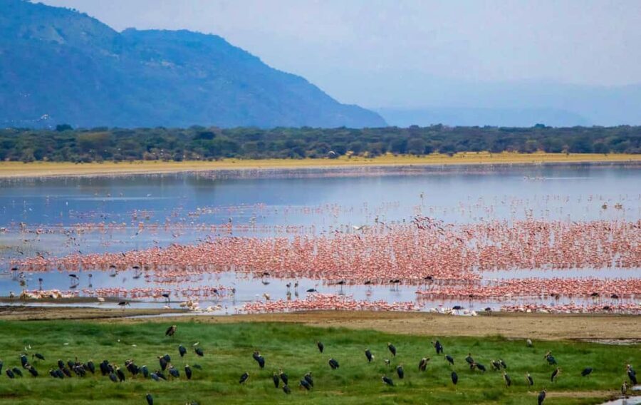 3-Day Crater Tour, Lake Manyara, & Tarangire National Park - Day 1: From Arusha to Tarangire National Park