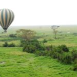 3-Day Experience Wildlife and Hot Air Balloon Adventures - Who Will Love This Tour?