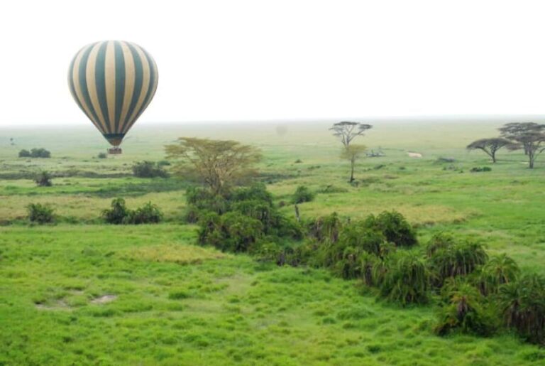 3-Day Experience Wildlife and Hot Air Balloon Adventures - Who Will Love This Tour?