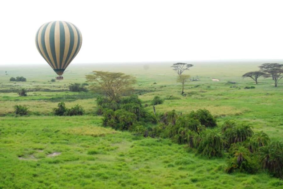 3-Day Experience Wildlife and Hot Air Balloon Adventures - Who Will Love This Tour?