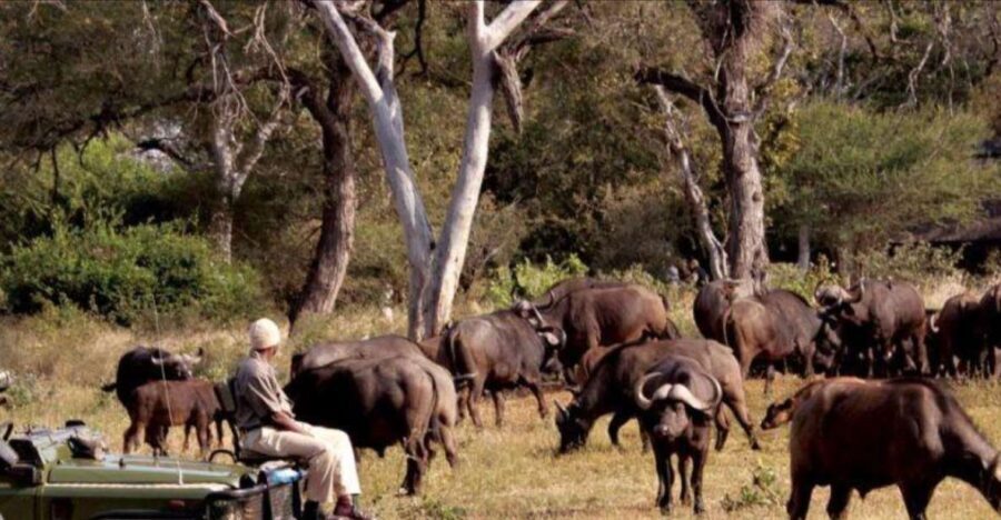 3 Day Hluhluwe & Isimangaliso Wetlands Pk Tour from Durban - In-Depth Look at the Itinerary