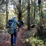 3 day Kilimanjaro trekking experience on the Machame route. - Additional Information You’ll Want to Know