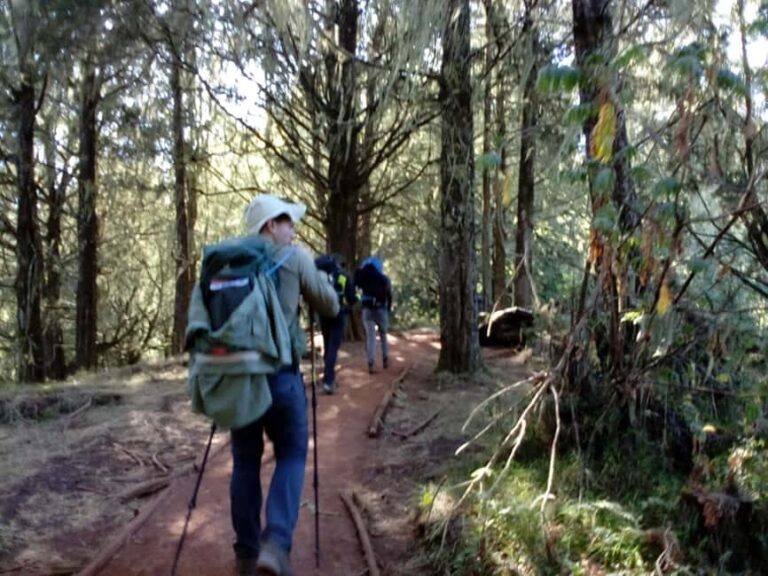3 day Kilimanjaro trekking experience on the Machame route. - Additional Information You’ll Want to Know