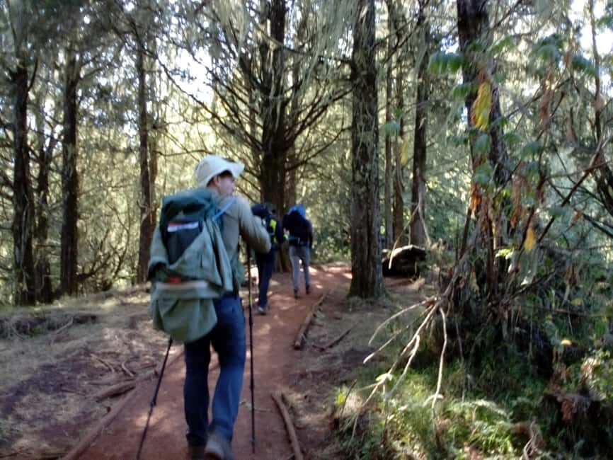 3 day Kilimanjaro trekking experience on the Machame route. - Additional Information You’ll Want to Know