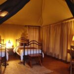 3-Day Meru National Park-Ikweta Safari Camp - What to Expect: Day-by-Day Breakdown