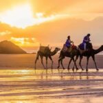 3-Day Morocco Tour from Tangier - Who Will Love This Tour?
