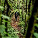 3-Day Nyungwe National Park and Lake Kivu Tour - Who Should Consider This Tour?