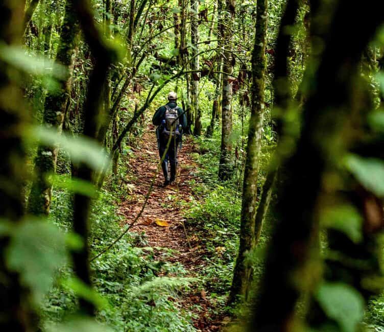 3-Day Nyungwe National Park and Lake Kivu Tour - Who Should Consider This Tour?