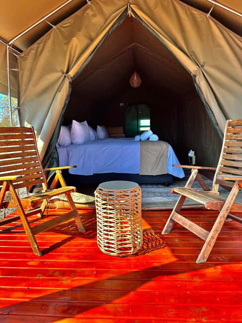 3-Day Pilanesberg Tlou En-Suite Tented Safari - Why This Safari Offers Great Value