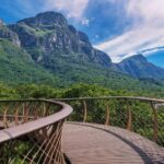 3-Day Private Guided Tour to Cape Town's Top Attractions - FAQ