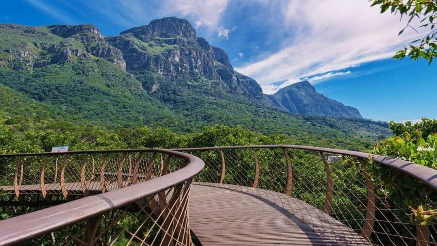 3-Day Private Guided Tour to Cape Town's Top Attractions - FAQ