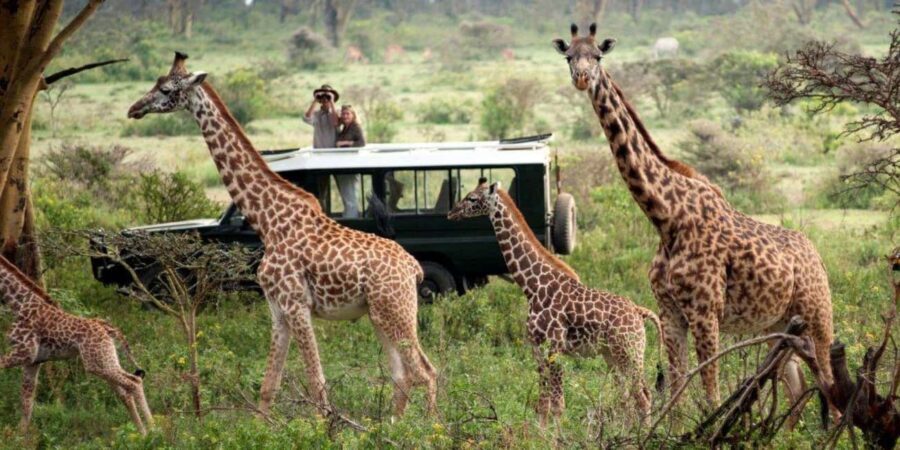 3-day safari in the Masai Mara camp on a LandCruiser 4x4jeep - What Sets This Safari Apart?