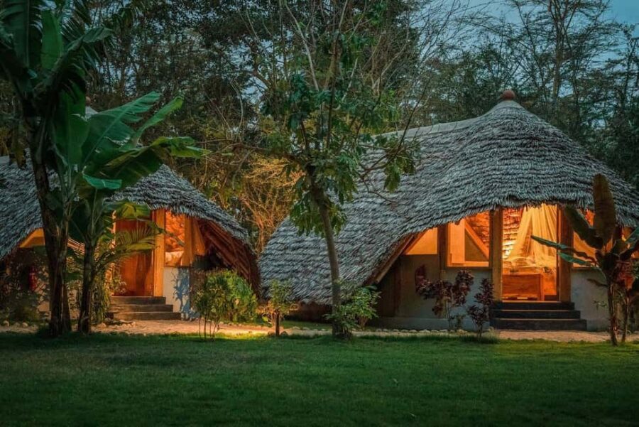 3-Day Safari to Tarangire, Ngorongoro, & Kilimanjaro - FAQs