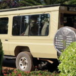 3-Day Serengeti and Ngorongoro Crater Safari - What Makes This Tour Stand Out