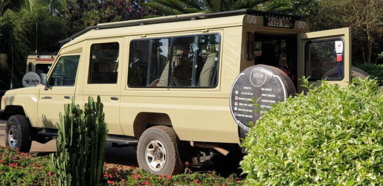 3-Day Serengeti and Ngorongoro Crater Safari - What Makes This Tour Stand Out