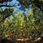 3 Day Shuttle MTB Weekend Adventure in Nelson - Who Would Love This Tour?