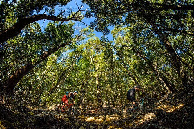 3 Day Shuttle MTB Weekend Adventure in Nelson - Who Would Love This Tour?