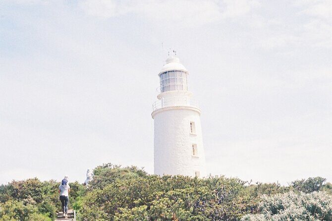 3 Day Tassie Tour Bundle Hobart, Wineglass Bay and Bruny Island - A Deep Dive into the Itinerary and Experiences