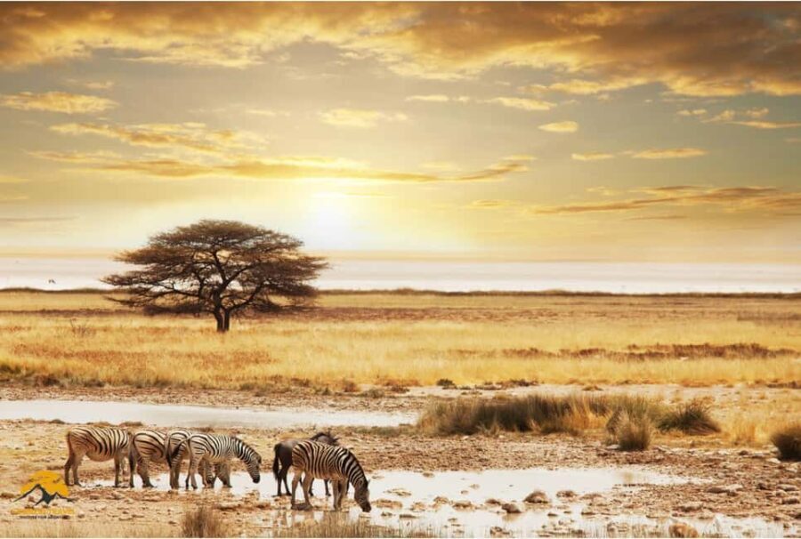 3-Day Wildlife Wonder! Tarangire, Lake Manyara & Ngorongoro. - Overview of the 3-Day Safari Experience